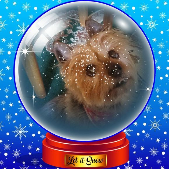 Meet your Posher, Brad - Picture 1 of 1